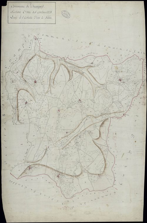 Champis - Section C