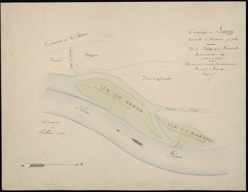 Limony - Section C