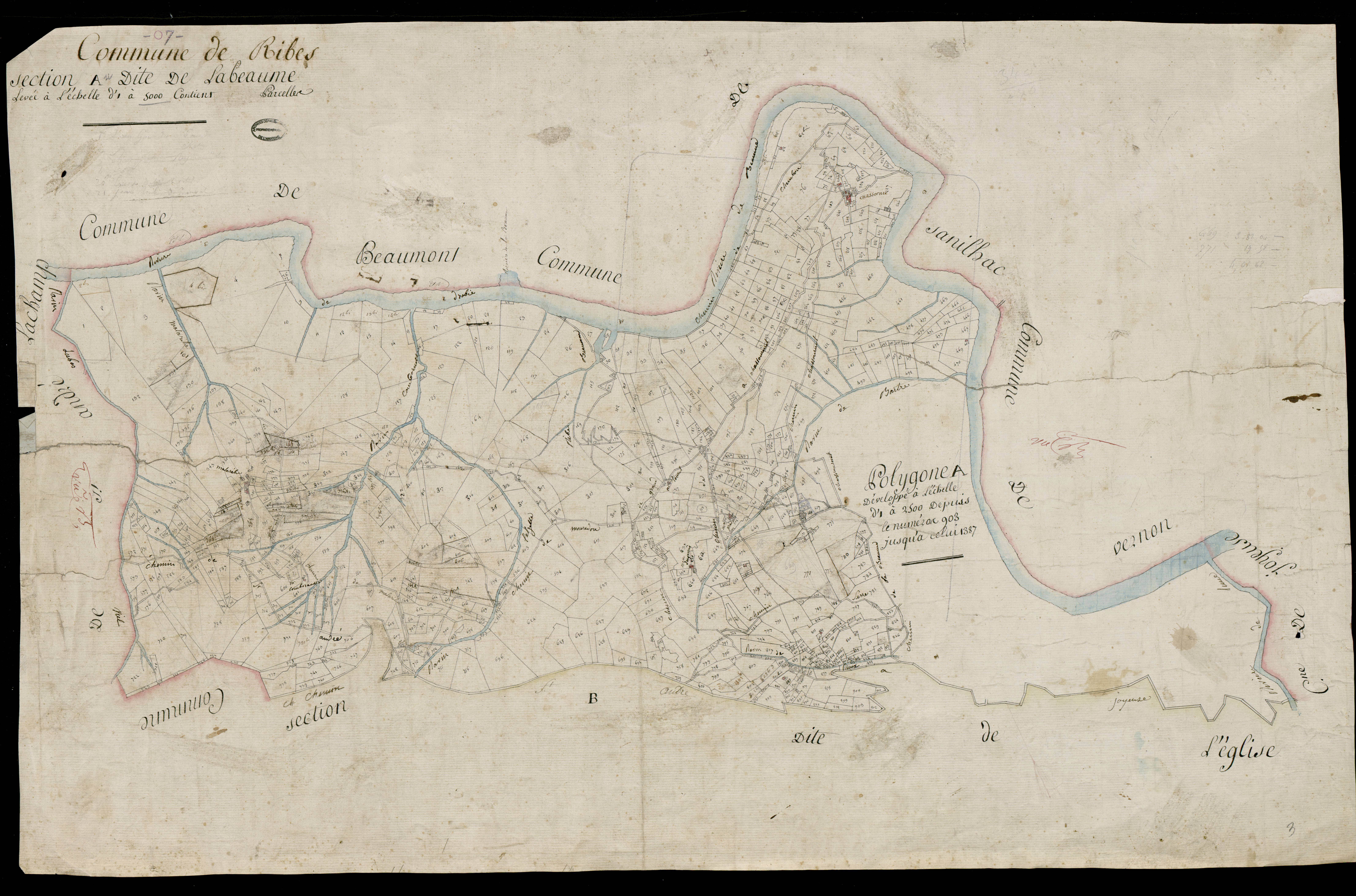 Ribes - Section A