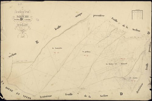 La Souche - Section D - Feuillet 4