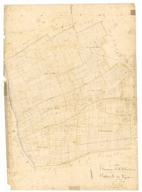 Allibaudières, section A dite des vignes, feuille n° 1