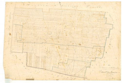 Allibaudières, section F dite des savards, feuille n° 1