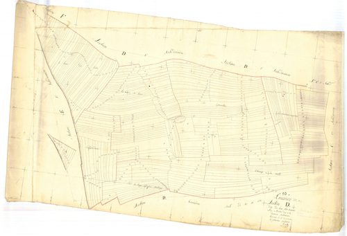 Amance, section D dite du bas des veaux, feuille n° 2