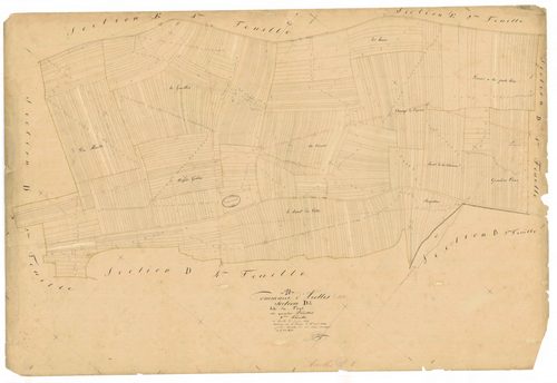 Arrelles, section D dite des fays, feuille n° 2, parcelles n°356-963