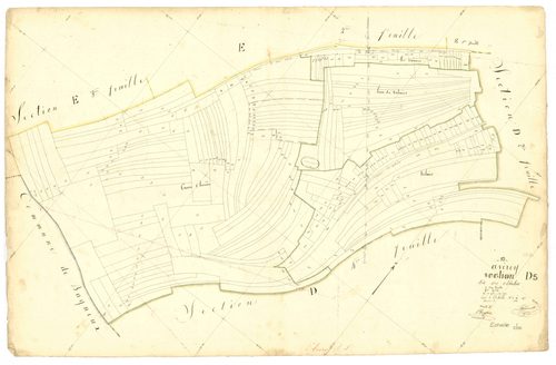 Avirey-Lingey, section D dite des chialots, feuille n° 5, parcelles n°1906-2144