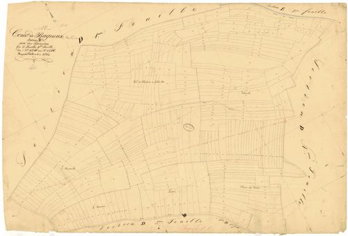 Bagneux-la-Fosse, section D dite des bruyères, feuille n° 5, parcelles n°1216-1516