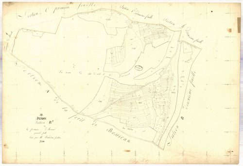 Bligny, section B dite de la fontaine d'amour, feuille n° 1