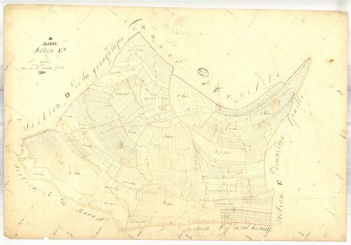 Bligny, section E dite de St Eulalie, feuille n° 1
