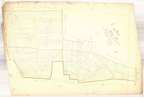 Bouy-Luxembourg, section A dite du noyer à la bouillie, feuille n° 3