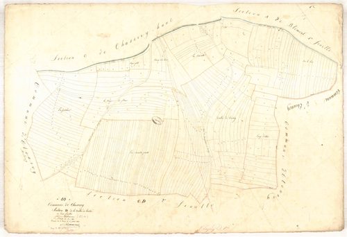 Chaserey, section D dite de la vallée de Trichey, feuille n° 1, parcelles n° 1-290
