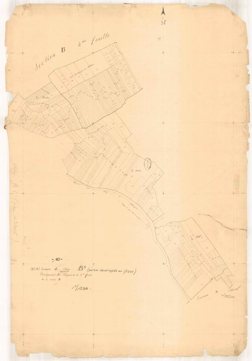 Clérey, section B développement des polygones du plan 13, feuille n° 6, parcelles n°