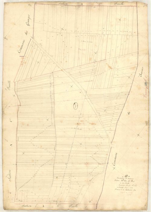Cussangy, section A dite des bois, feuille n° 3
