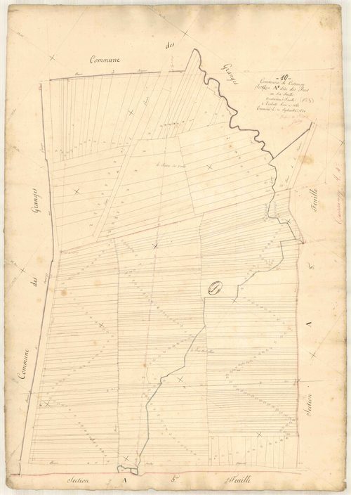 Cussangy, section A dite des bois, feuille n° 4