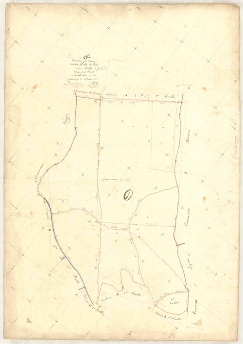 Cussangy, section A dite des bois, feuille n° 5