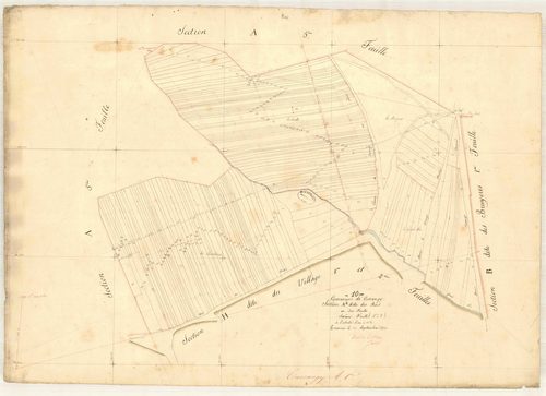Cussangy, section A dite des bois, feuille n° 6