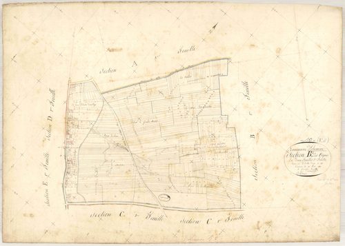 Echemines, section B dite des vignes, feuille n° 2