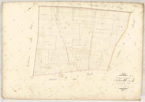 Echemines, section D dite de la tommelle, feuille n° 1, parcelles n° 1-480
