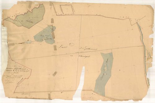 Epothémont, section C dite de la forêt d'Humégnil, feuille n° 4, parcelles n° 28-39