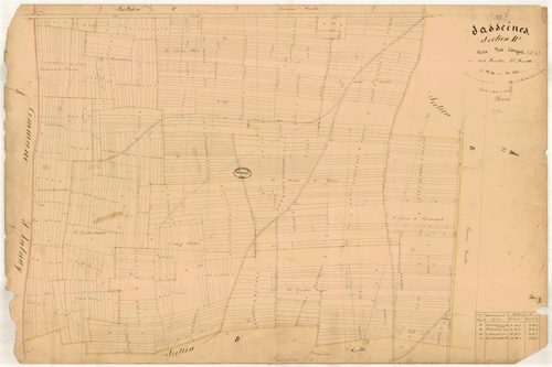 Jasseines, section B dite des conges, feuille n° 3, parcelles n°891-1503