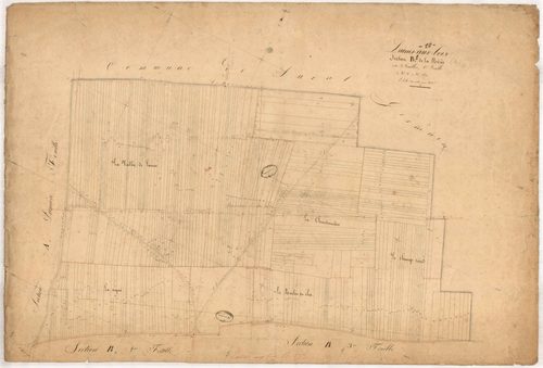 Laines-aux-Bois, section B dite de la Nérée, feuille n° 1, parcelles n°1-384