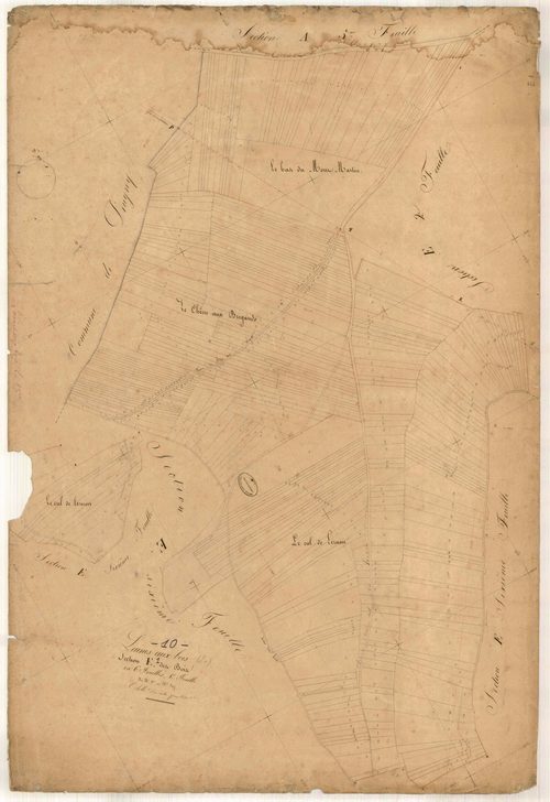 Laines-aux-Bois, section E dite des Bois , feuille n° 1, parcelles n°1-397