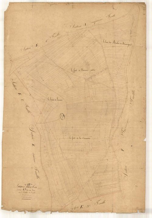 Laines-aux-Bois, section E dite des Bois , feuille n° 2, parcelles n°398-771