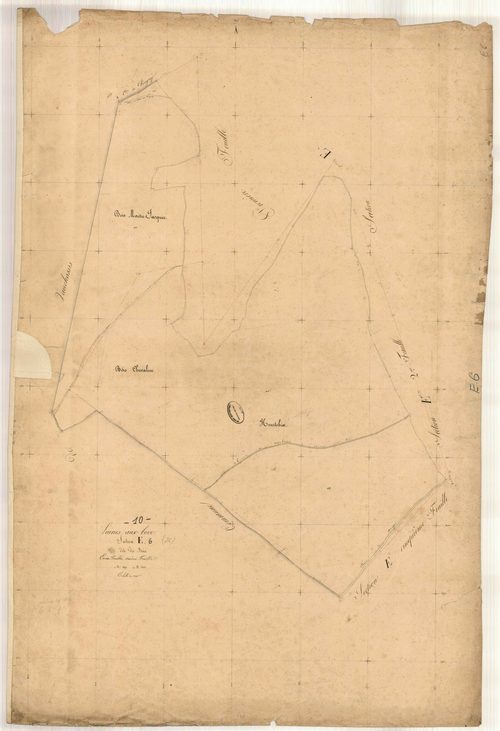 Laines-aux-Bois, section E dite des Bois , feuille n° 6, parcelles n°1199-1202