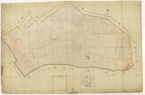 Macey, section F dite des bourgeonnes, feuille n° 2