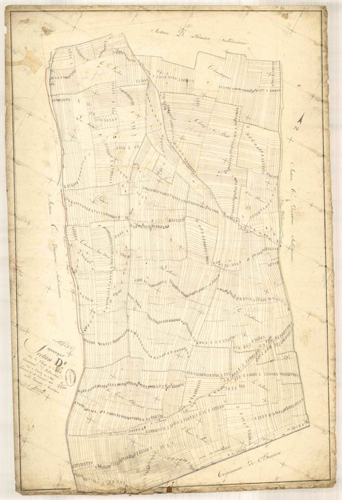 Magnant, section D dite du champ de la belle, feuille n° 2