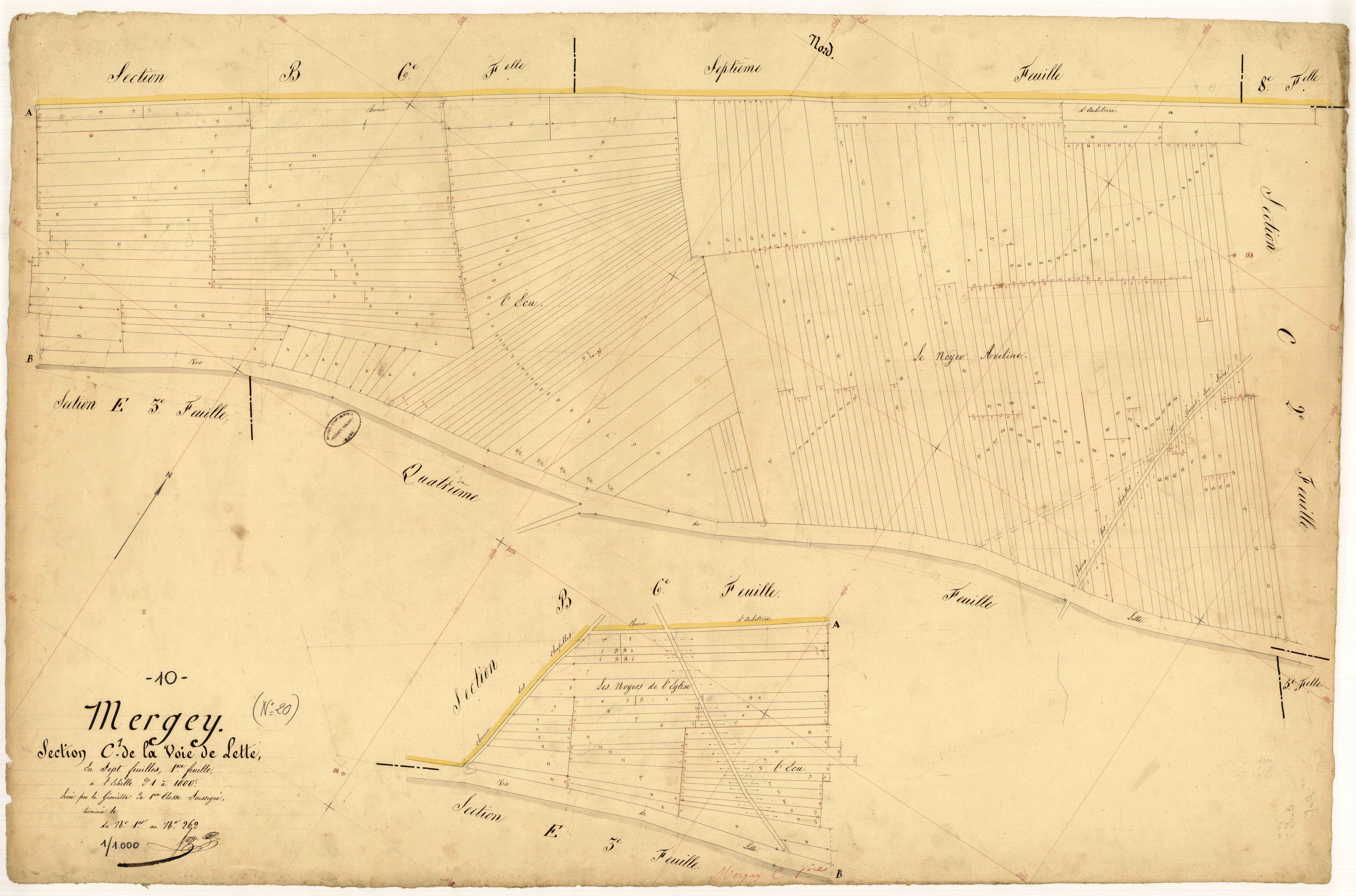 Mergey, section C dite de la voie de Lette, feuille n° 1, parcelles n° 1 à 262