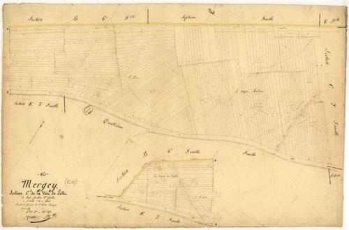 Mergey, section C dite de la voie de Lette, feuille n° 1, parcelles n° 1 à 262