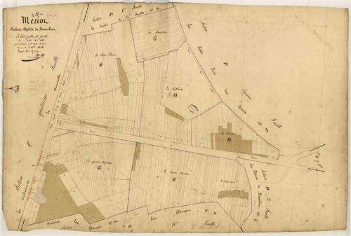 Le Mériot, section D dite de Beaulieu, feuille n° 4