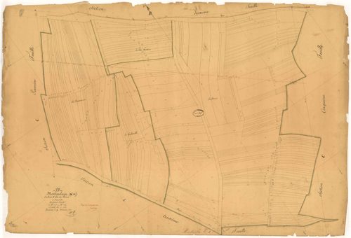 Montaulin, section C dite des Noes, feuille n° 4, parcelles n°905-1144