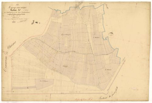 Mussy-sur-Seine, section A dite des Chalvigniers et des bois communaux, feuille n° 4, parcelles n°276-545