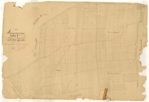 Mussy-sur-Seine, section F dite de Maupas et de Champs Cadot, feuille n° 2, parcelles n°358-587