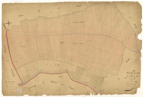 Neuville-sur-Seine, section A dite de Laignes, feuille n° 1, parcelles n°1-331