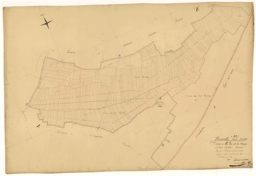 Neuville-sur-Seine, section E dite de la Chappe, feuille n° 6, parcelles n°1060-1220