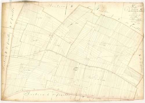 Pâlis, section B dite de la haie des Boullins, feuille n° 3, parcelles n° 909-1371