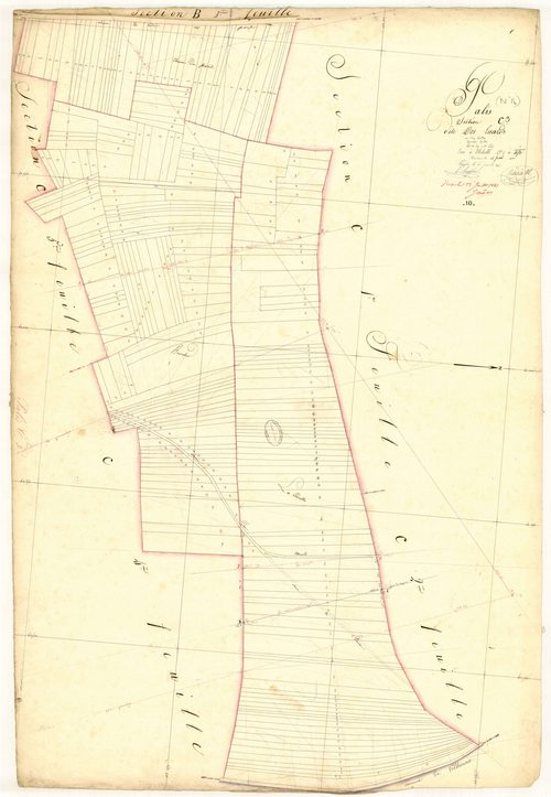 Pâlis, section C dite des essarts, feuille n° 3, parcelles n° 409-667