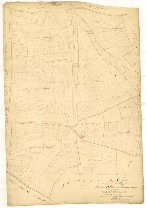 Pargues, section C dite du buisson Feuvrey, feuille n° 2, parcelles n° 142-506
