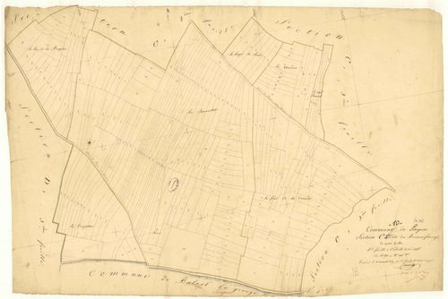 Pargues, section C dite du buisson Feuvrey, feuille n° 4, parcelles n° 874-1096