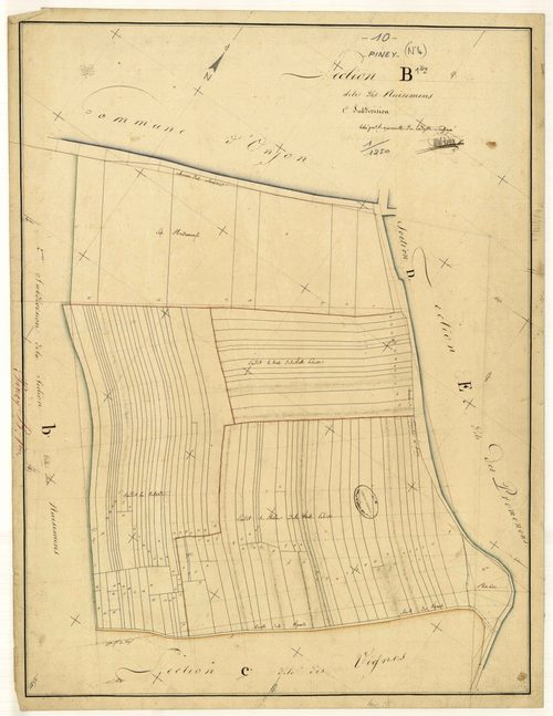 Piney, section B dite des Nuisemens, feuille n° 1