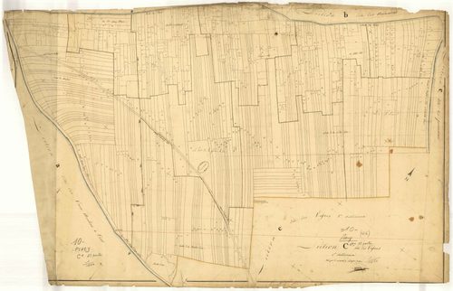 Piney, section C dite des Vignes, feuille n° 1