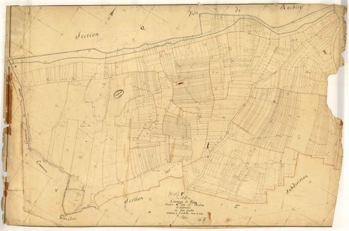 Piney, section P dite de Bonlieu, feuille n° 1