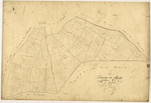 Planty, section C dite des Brouillards, feuille n° 2