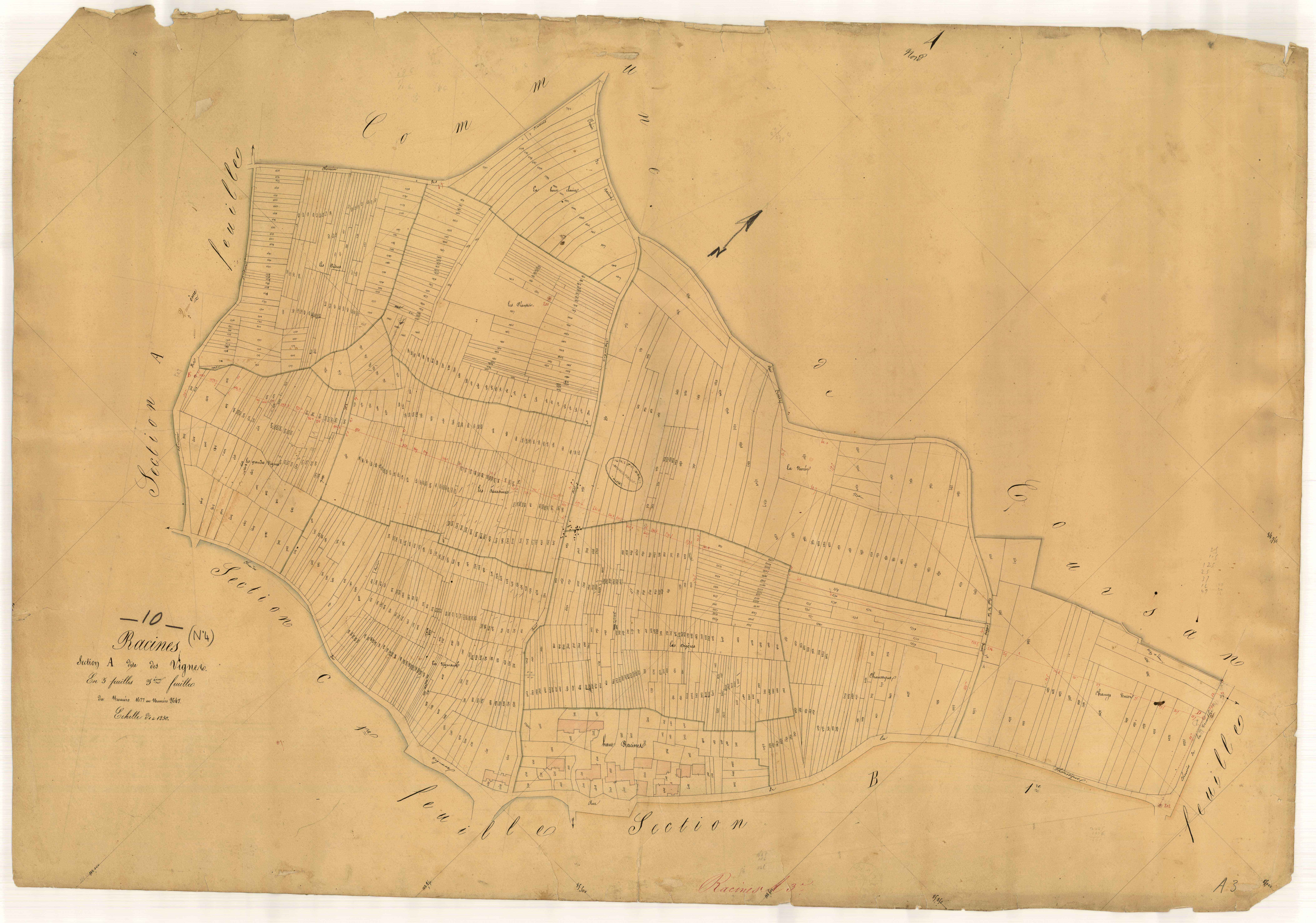 Racines, section A dite des Vignes, feuille n° 3, parcelles n° 1677-2647