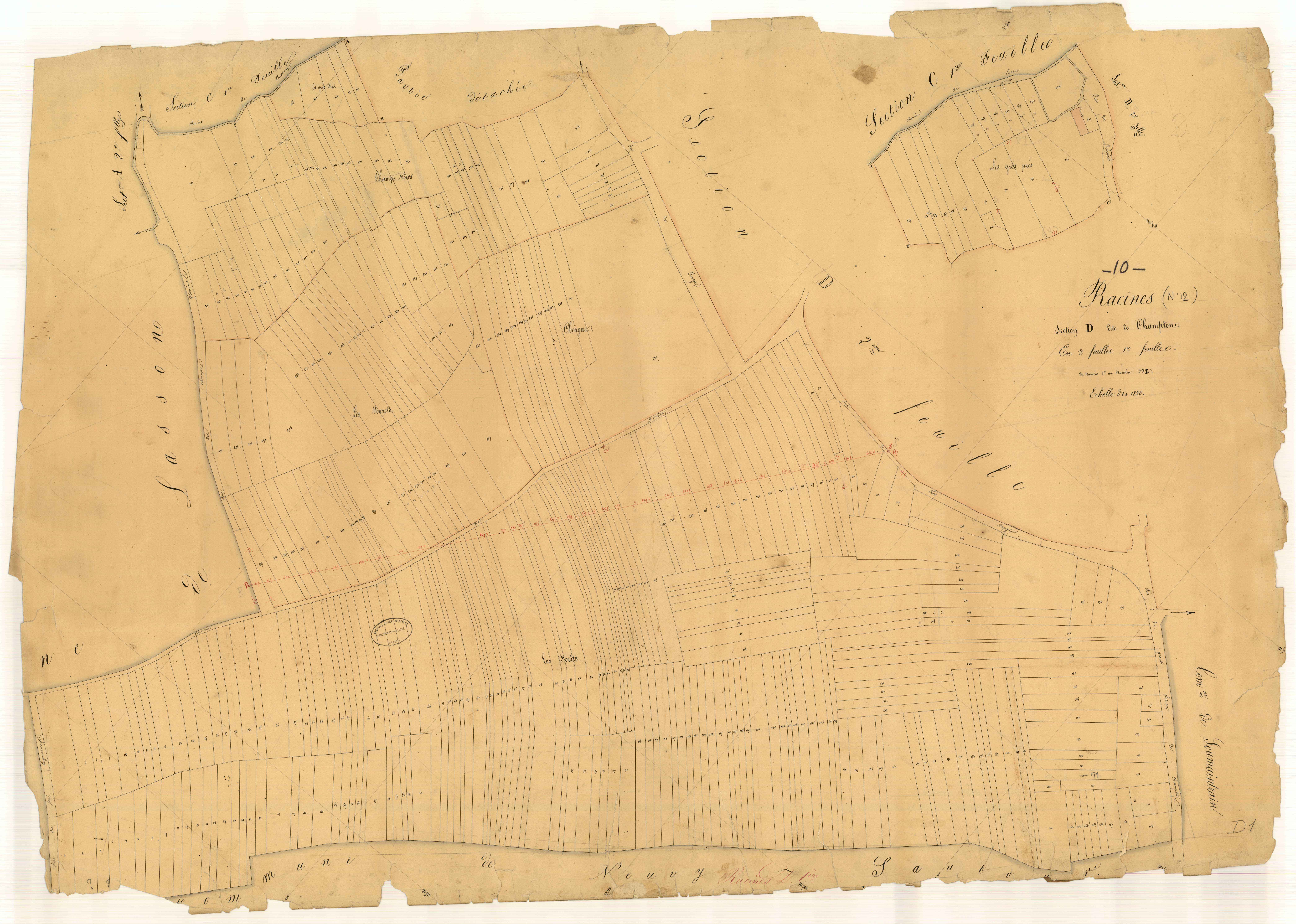 Racines, section D dite de Champton, feuille n° 1, parcelles n° 1-371