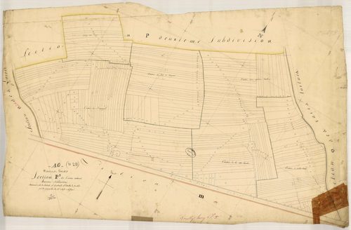 Rouilly-Sacey, section P dite de l'Orme Aubron, feuille n° 3