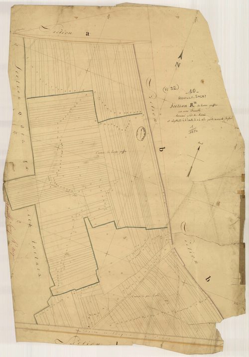 Rouilly-Sacey, section R dite du Buisson Graffin