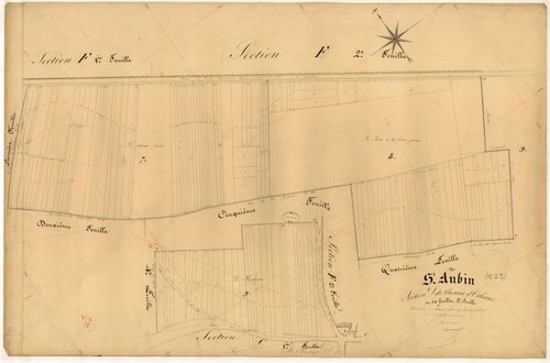 Saint-Aubin, section D dite du Chemin d'Orléans, feuille n° 3